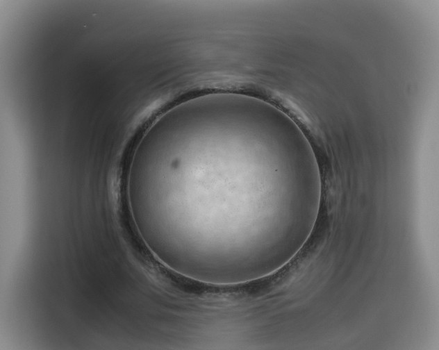 X0000115800679200911201358
