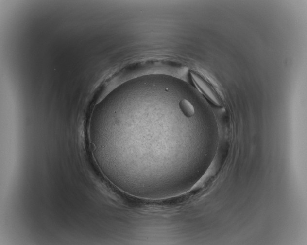 X0000115800681200911201358