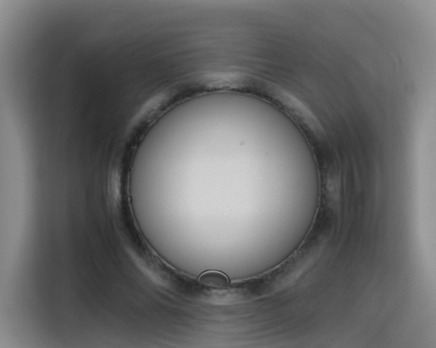 X0000115800686200911201358