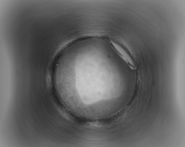 X0000115800688200911201358