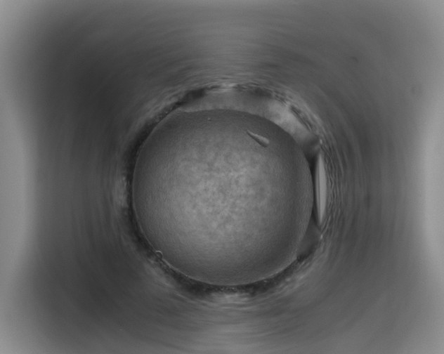 X0000115800689200911201358
