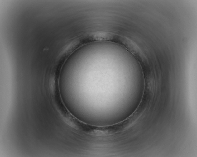 X0000115800690200911201358