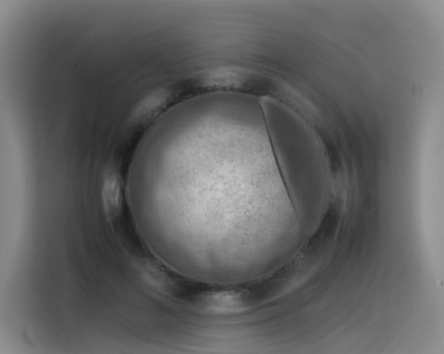 X0000115800692200911201358