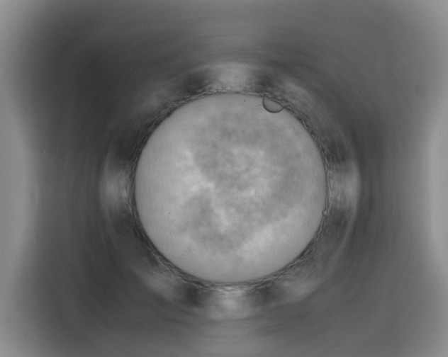 X0000115800701200911201358