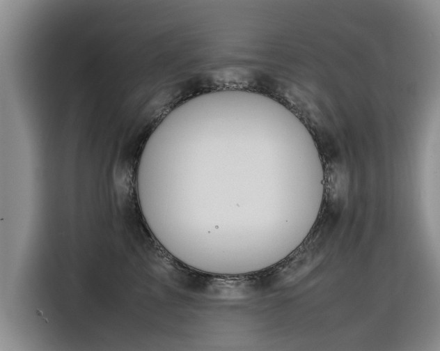 X0000115800713200911201358
