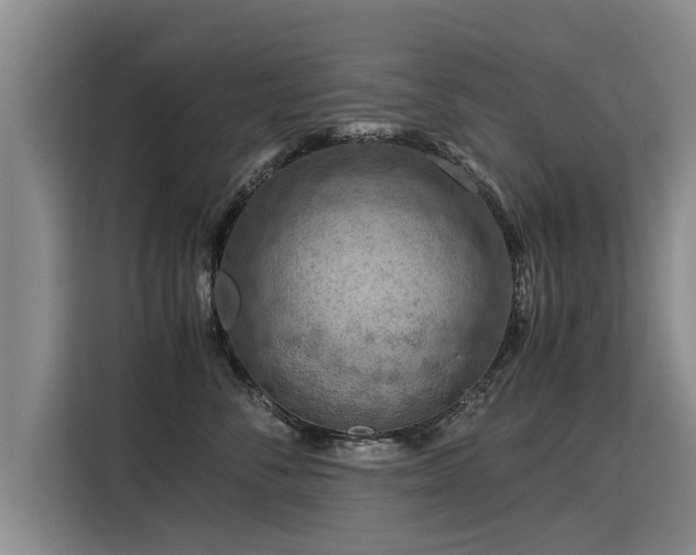 X0000115800716200911201358