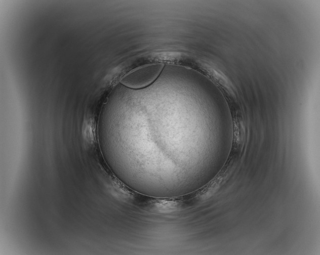 X0000115800718200911201358