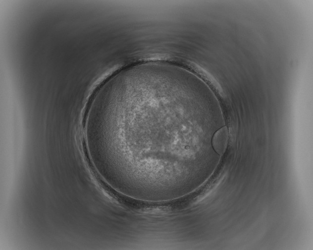 X0000115800721200911201357