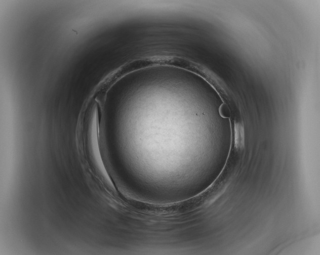 X0000115800723200911201357