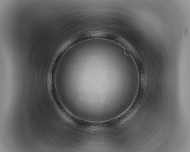 X0000115800725200911201357