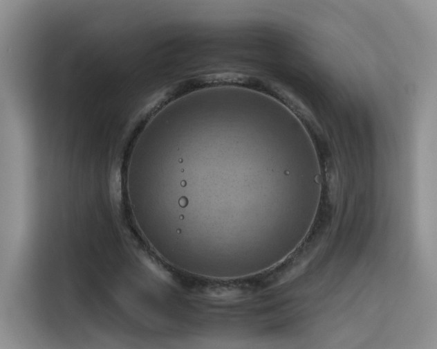 X0000115800729200911201357