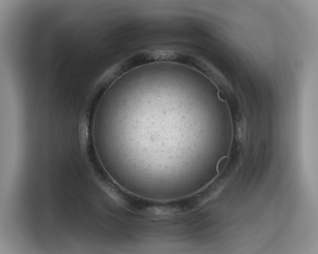 X0000115800733200911201357