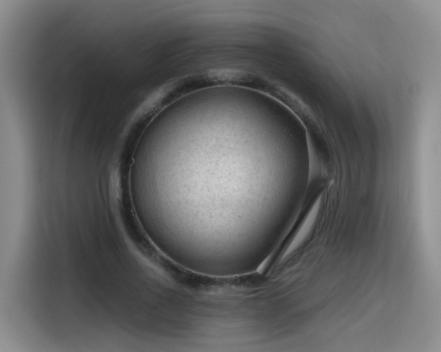 X0000115800734200911201357