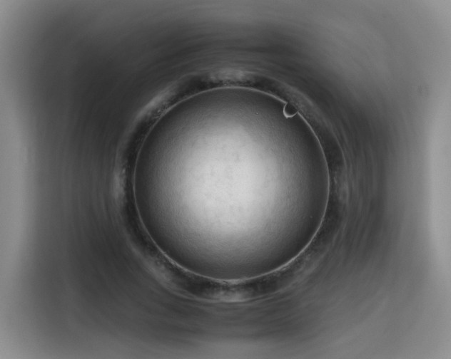 X0000115800735200911201357