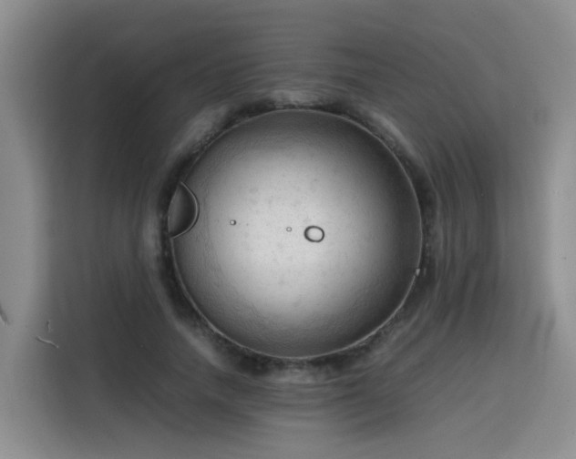X0000115800738200911201357