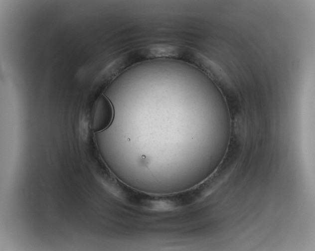 X0000115800741200911201357