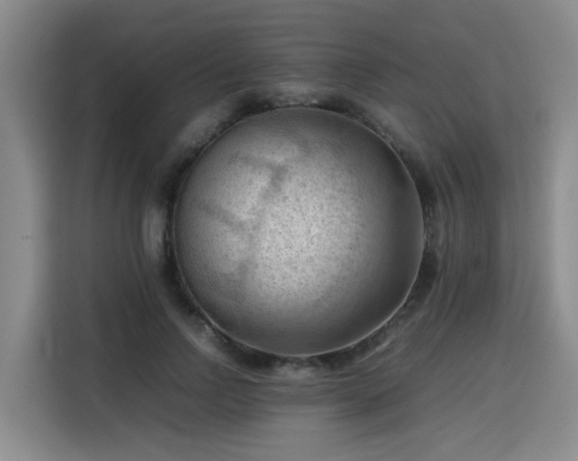 X0000115800742200911201357