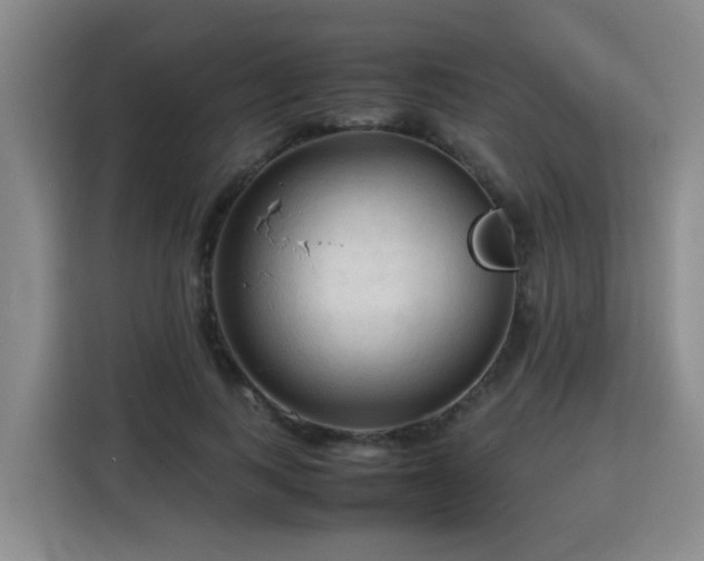 X0000115800743200911201357