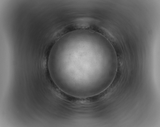 X0000115800745200911201357