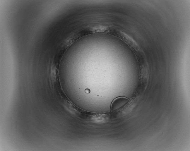 X0000115800761200911201357