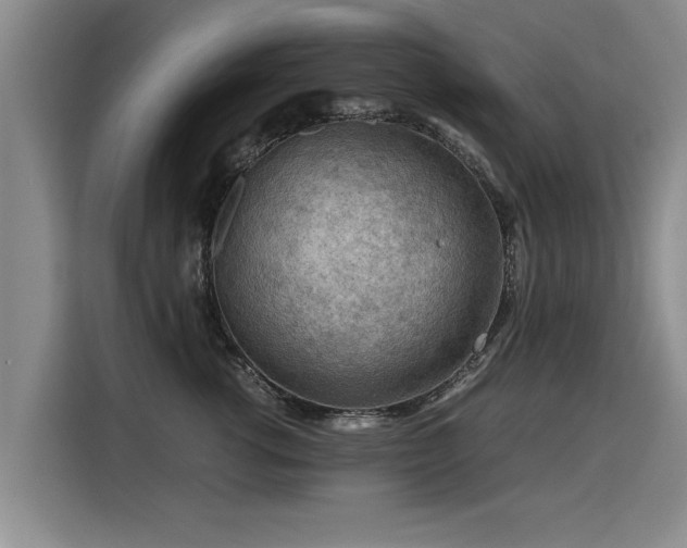 X0000115800762200911201357