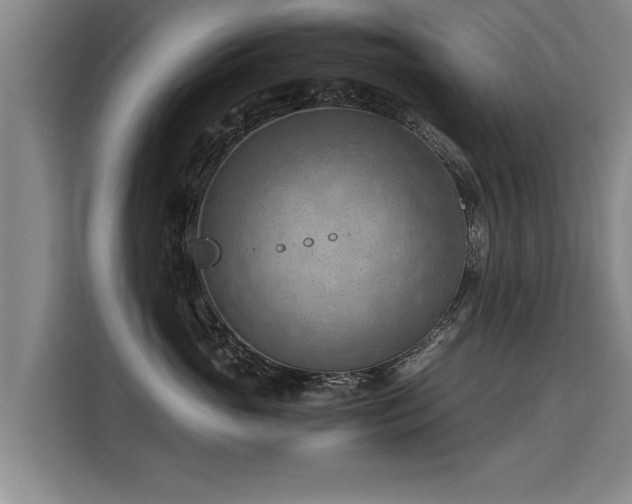 X0000115800765200911201357