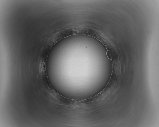 X0000115800770200911201357