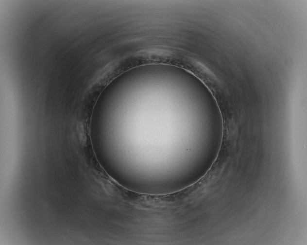 X0000115800774200911201357