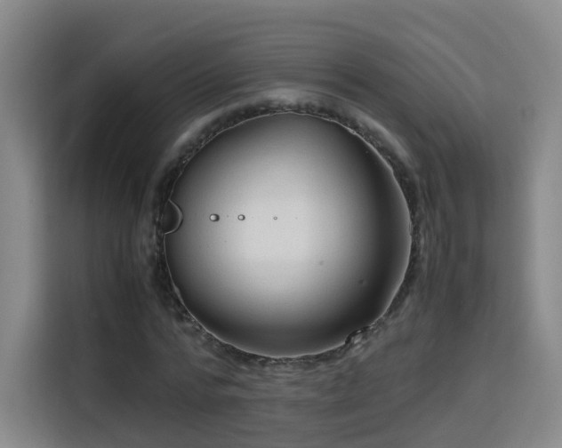 X0000115800776200911201357
