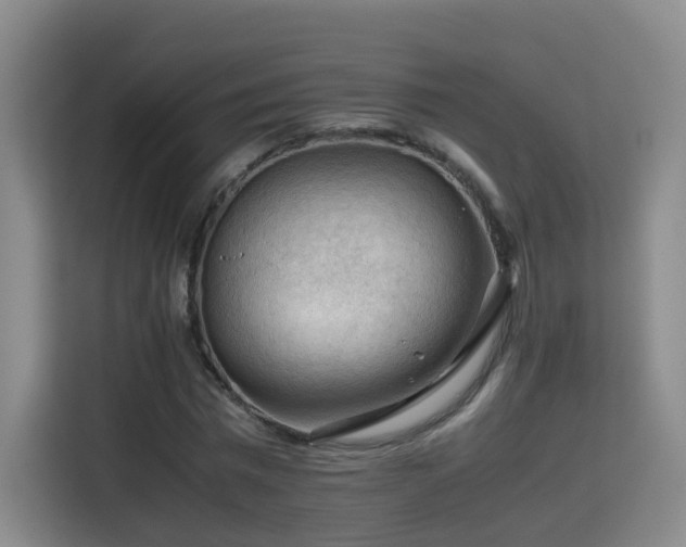 X0000115800777200911201357