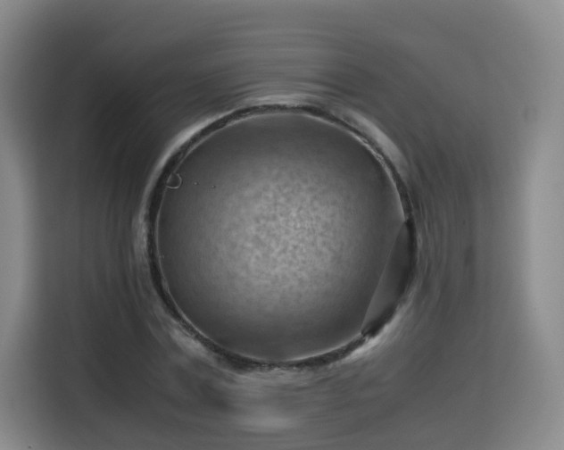 X0000115800779200911201357
