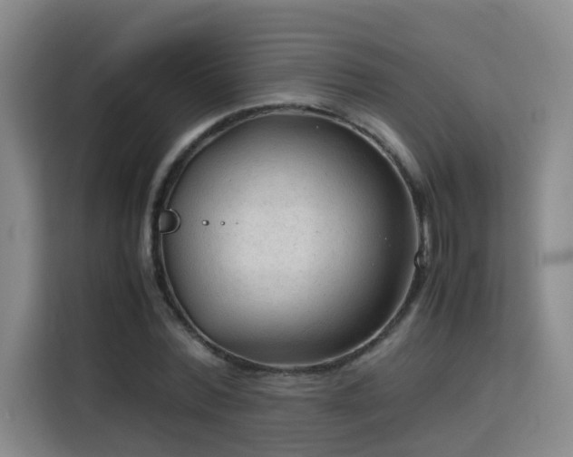 X0000115800780200911201357