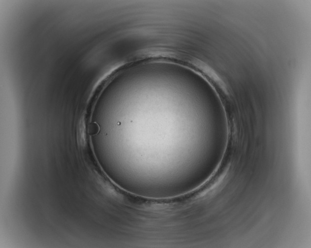 X0000115800782200911201357