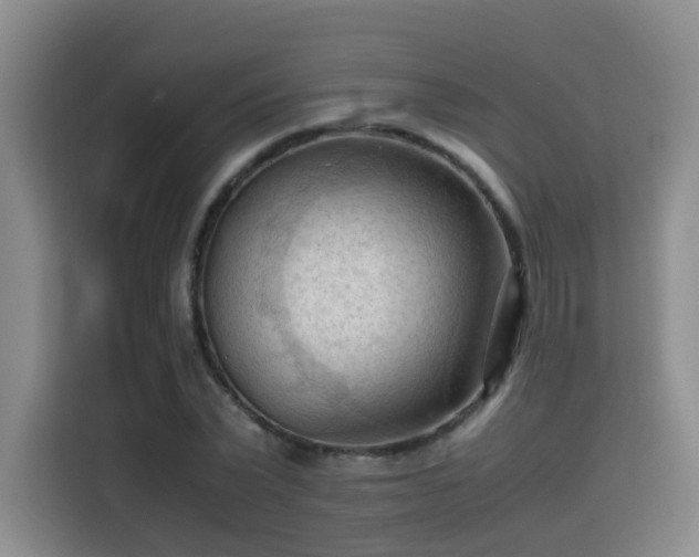 X0000115800783200911201357
