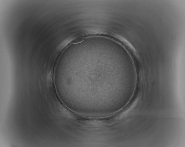 X0000115800785200911201357