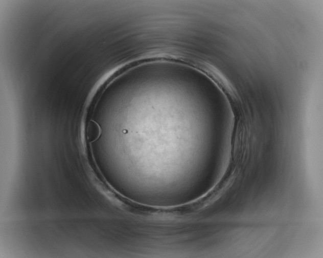 X0000115800788200911201357