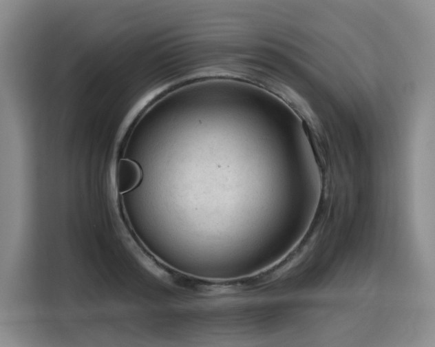 X0000115800796200911201357