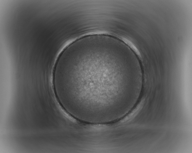 X0000115800797200911201357