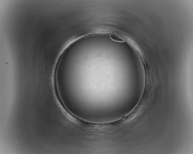 X0000115800803200911201356