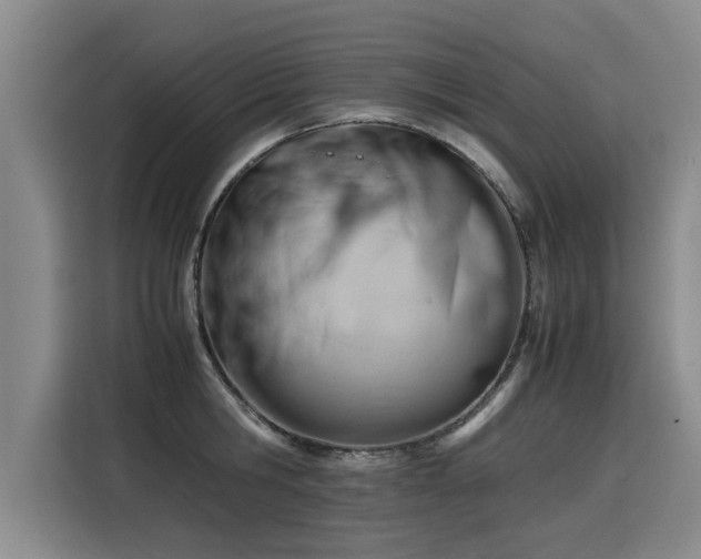 X0000115800806200911201356