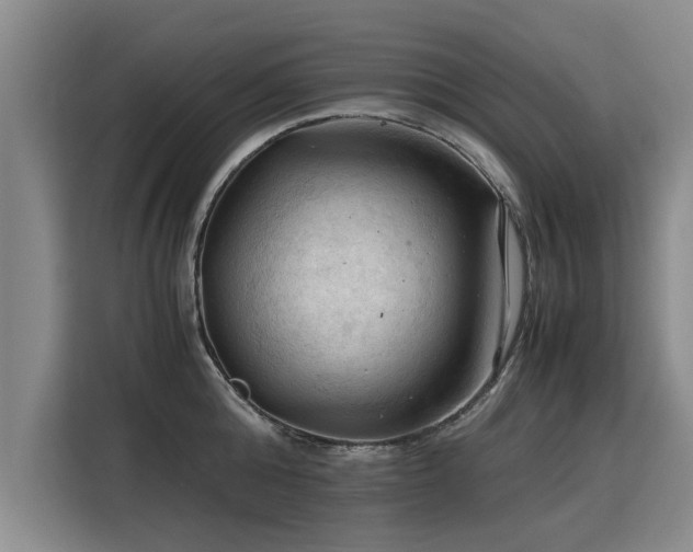 X0000115800808200911201356