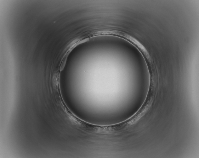 X0000115800809200911201356