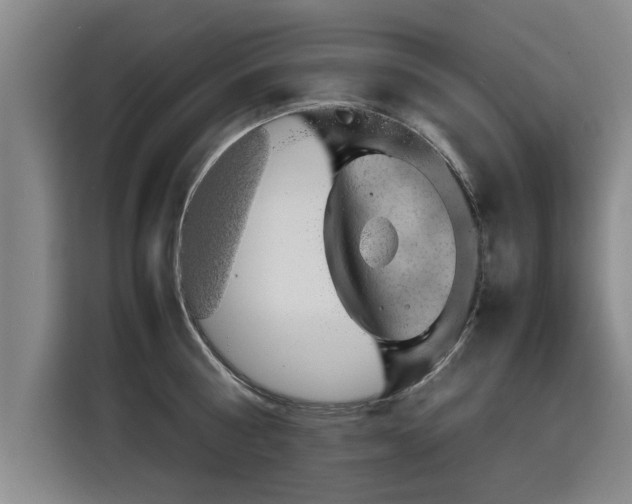 X0000115800810200911201356