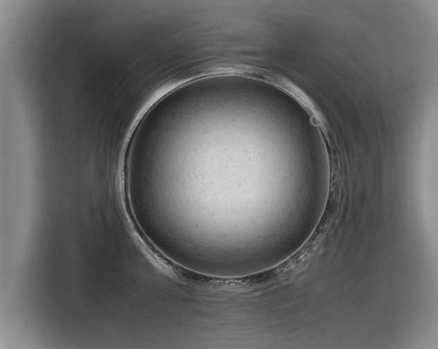 X0000115800811200911201356