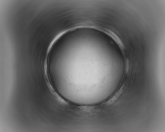 X0000115800812200911201356