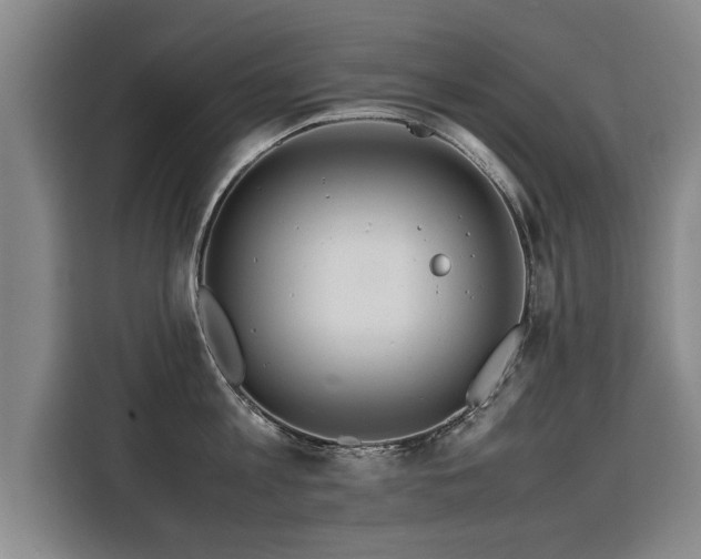 X0000115800813200911201356