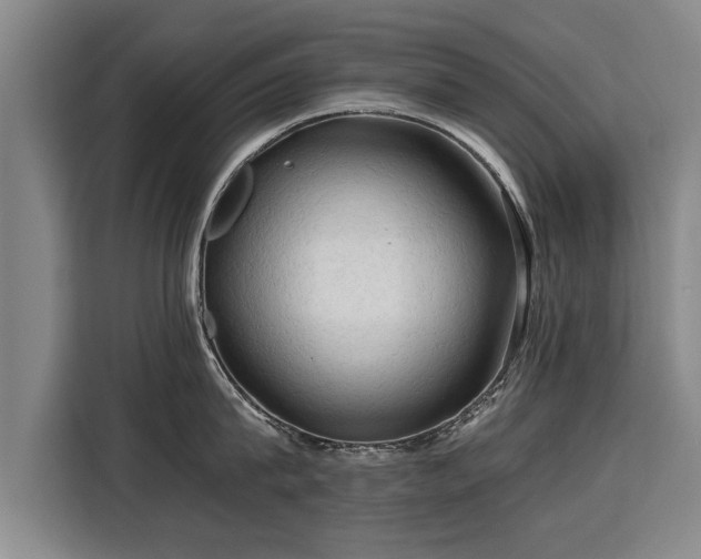 X0000115800815200911201356