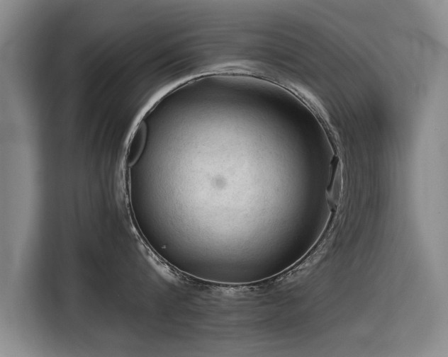 X0000115800816200911201356