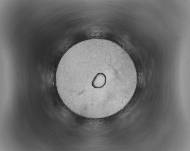 X0000115800820200911201356