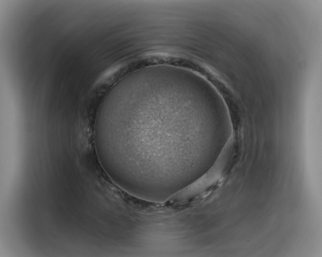 X0000115800822200911201356